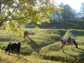 székelyföld, turizmus, erdély